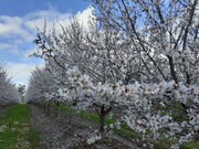 Quinta - Mouro, Mouro, vora - Miniatura: 4/9