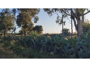 Quinta - Mouro, Mouro, vora - Miniatura: 5/9