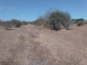 Quinta - Corval, Reguengos de Monsaraz, vora - Miniatura: 5/9