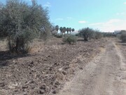 Quinta - Corval, Reguengos de Monsaraz, vora - Miniatura: 6/9