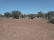 Quinta - Corval, Reguengos de Monsaraz, vora - Miniatura: 7/9