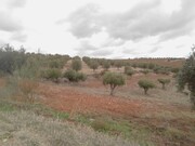 Terreno Rstico - Corval, Reguengos de Monsaraz, vora - Miniatura: 5/5