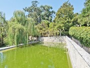 Imveis de Luxo > T6 - Barcarena, Oeiras, Lisboa - Miniatura: 5/9