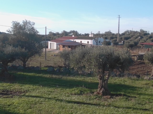 Terreno Rústico T6 - Corval, Reguengos de Monsaraz, Évora - Imagem grande