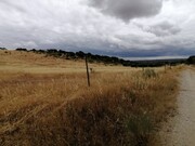 Terreno Rstico - Corval, Reguengos de Monsaraz, vora - Miniatura: 1/2