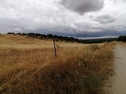 Terreno Rstico - Corval, Reguengos de Monsaraz, vora - Miniatura: 2/2