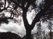 Quinta T3 - Corval, Reguengos de Monsaraz, vora - Miniatura: 7/9