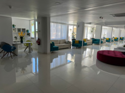 Apartamento - Olhos de �gua, Albufeira, Faro (Algarve) - Miniatura: 13/16