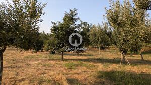 Terreno R�stico - Quinch�es, Fafe, Braga - Miniatura: 1/7