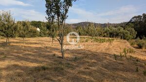 Terreno R�stico - Quinch�es, Fafe, Braga - Miniatura: 2/7