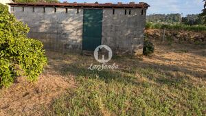 Terreno R�stico - Quinch�es, Fafe, Braga - Miniatura: 6/7