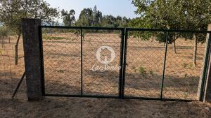 Terreno R�stico - Quinch�es, Fafe, Braga - Miniatura: 7/7