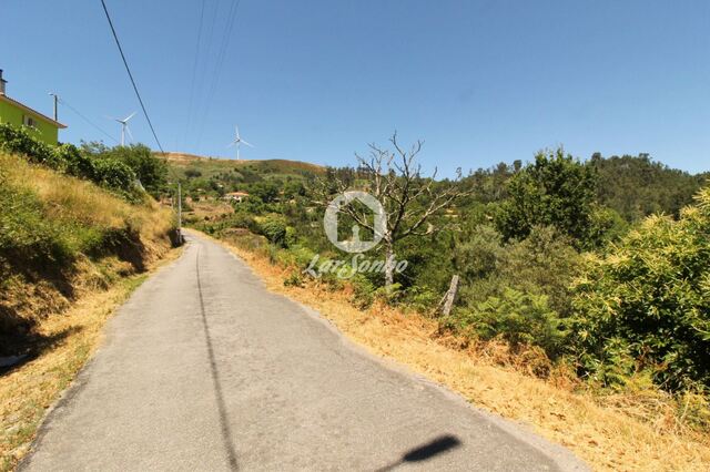 Terreno R�stico - Ca�arilhe, Celorico de Basto, Braga - Imagem grande