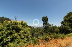 Terreno R�stico - Ca�arilhe, Celorico de Basto, Braga - Miniatura: 1/21
