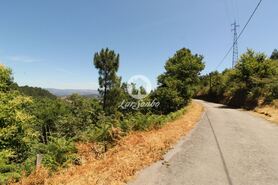 Terreno R�stico - Ca�arilhe, Celorico de Basto, Braga - Miniatura: 2/21