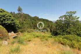 Terreno R�stico - Ca�arilhe, Celorico de Basto, Braga - Miniatura: 3/21