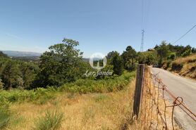 Terreno R�stico - Ca�arilhe, Celorico de Basto, Braga - Miniatura: 6/21