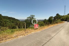 Terreno R�stico - Ca�arilhe, Celorico de Basto, Braga - Miniatura: 8/21