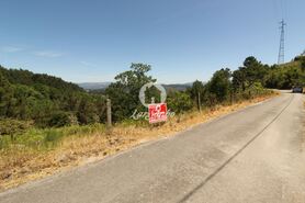 Terreno R�stico - Ca�arilhe, Celorico de Basto, Braga - Miniatura: 9/21