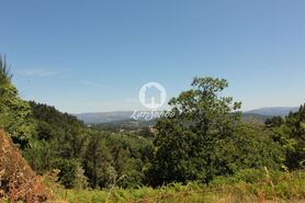 Terreno R�stico - Ca�arilhe, Celorico de Basto, Braga - Miniatura: 10/21