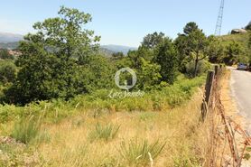 Terreno R�stico - Ca�arilhe, Celorico de Basto, Braga - Miniatura: 12/21