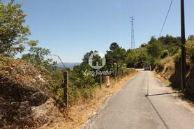 Terreno R�stico - Ca�arilhe, Celorico de Basto, Braga - Miniatura: 13/21