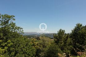 Terreno R�stico - Ca�arilhe, Celorico de Basto, Braga - Miniatura: 14/21