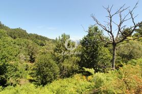 Terreno R�stico - Ca�arilhe, Celorico de Basto, Braga - Miniatura: 16/21