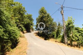 Terreno R�stico - Ca�arilhe, Celorico de Basto, Braga - Miniatura: 17/21