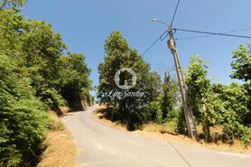Terreno R�stico - Ca�arilhe, Celorico de Basto, Braga - Miniatura: 18/21