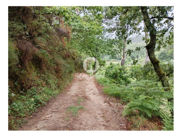 Terreno R�stico - Vilar da Veiga, Terras de Bouro, Braga - Imagem grande