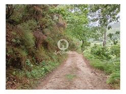 Terreno R�stico - Vilar da Veiga, Terras de Bouro, Braga - Miniatura: 1/4