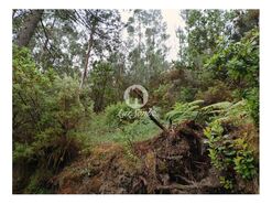 Terreno R�stico - Vilar da Veiga, Terras de Bouro, Braga - Miniatura: 3/4