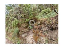 Terreno R�stico - Vilar da Veiga, Terras de Bouro, Braga - Miniatura: 4/4