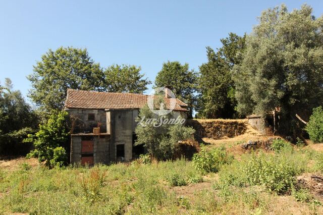 Quinta T5 - Ribeiros, Fafe, Braga - Imagem grande