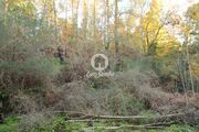 Quinta T5 - Cepes, Fafe, Braga - Miniatura: 5/9