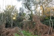 Quinta T5 - Cepes, Fafe, Braga - Miniatura: 6/9