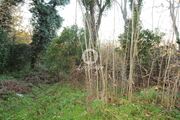 Quinta T5 - Cepes, Fafe, Braga - Miniatura: 8/9