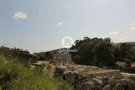 Terreno R�stico - Cep�es, Fafe, Braga - Miniatura: 3/5