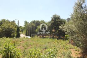 Quinta T5 - Ribeiros, Fafe, Braga - Miniatura: 2/3