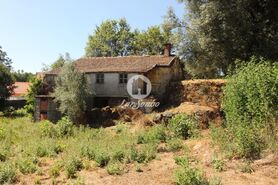 Quinta T5 - Ribeiros, Fafe, Braga - Miniatura: 3/3