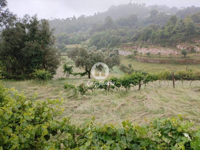 Terreno R�stico - Vilar da Veiga, Terras de Bouro, Braga - Imagem grande