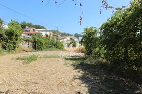 Terreno R�stico - Moreira do Rei, Fafe, Braga - Miniatura: 3/5