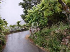Terreno R�stico - Vilar da Veiga, Terras de Bouro, Braga - Miniatura: 1/15