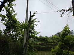 Terreno R�stico - Vilar da Veiga, Terras de Bouro, Braga - Miniatura: 2/15