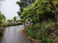 Terreno R�stico - Vilar da Veiga, Terras de Bouro, Braga - Miniatura: 4/15