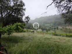 Terreno R�stico - Vilar da Veiga, Terras de Bouro, Braga - Miniatura: 5/15