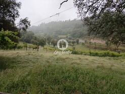 Terreno R�stico - Vilar da Veiga, Terras de Bouro, Braga - Miniatura: 6/15