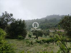 Terreno R�stico - Vilar da Veiga, Terras de Bouro, Braga - Miniatura: 7/15