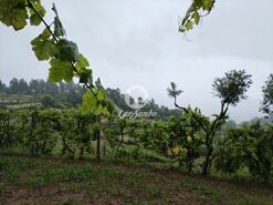 Terreno R�stico - Vilar da Veiga, Terras de Bouro, Braga - Miniatura: 8/15
